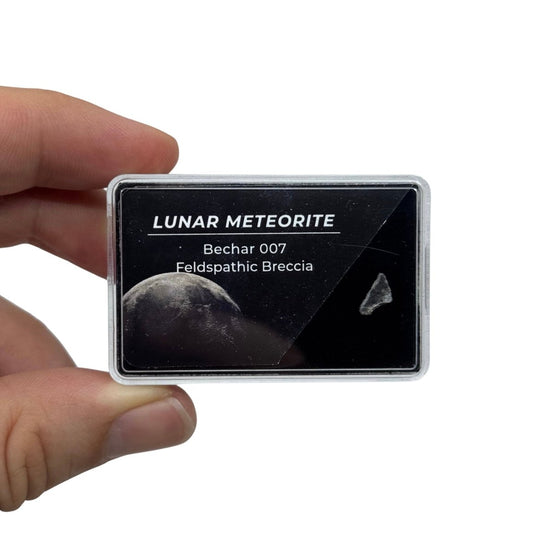 Lunar Meteorite Fragment – Authentic Bechar 007 (Genuine Moon Rock) - FossilsAndMore