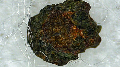 Martian Meteorite Nakhlite | Hassi Messaoud 001 - FossilsAndMore