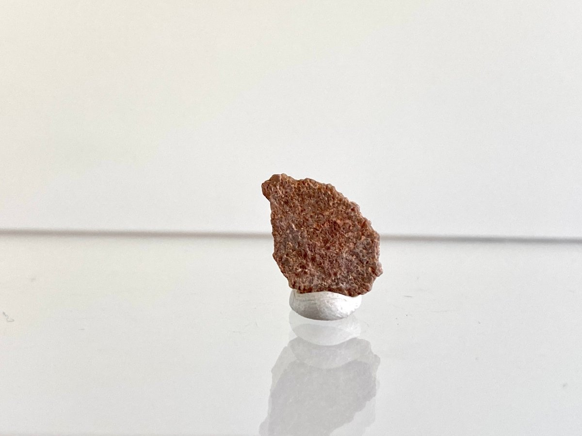 Megaloolithus eggshell fossil from France (0.56") - FossilsAndMore