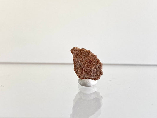 Megaloolithus eggshell fossil from France (0.56") - FossilsAndMore
