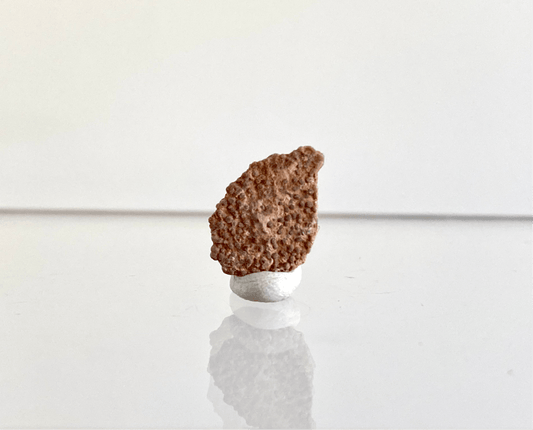 Megaloolithus eggshell fossil from France (0.56") - FossilsAndMore
