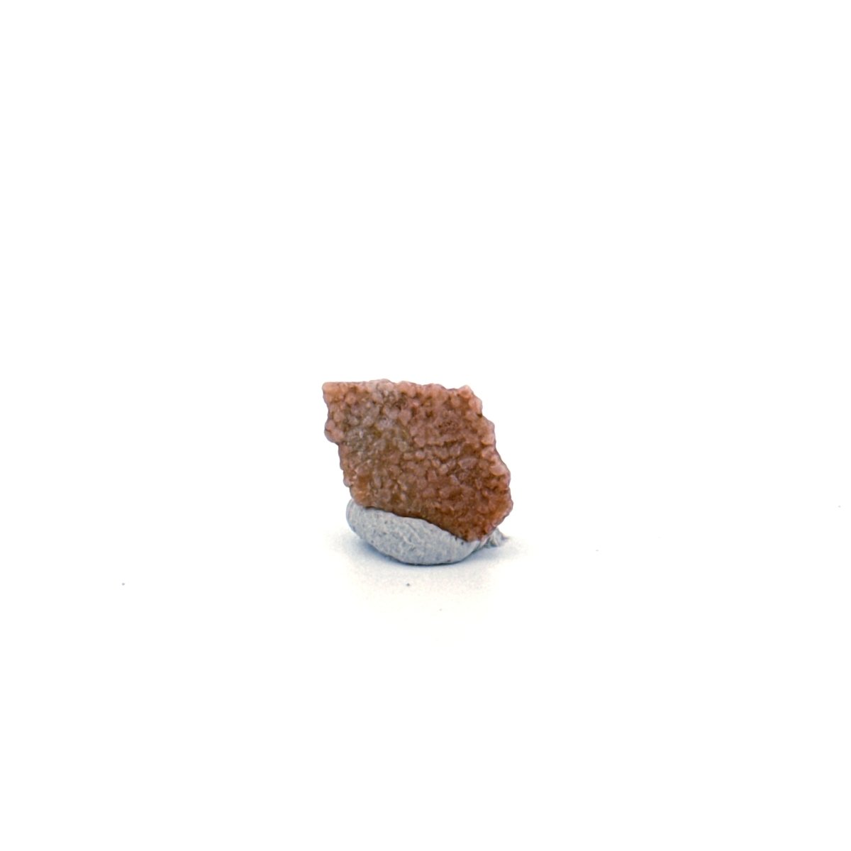 Megaloolithus fossil eggshell fragment from Hypselosaurus priscus, France (0.52") - FossilsAndMore