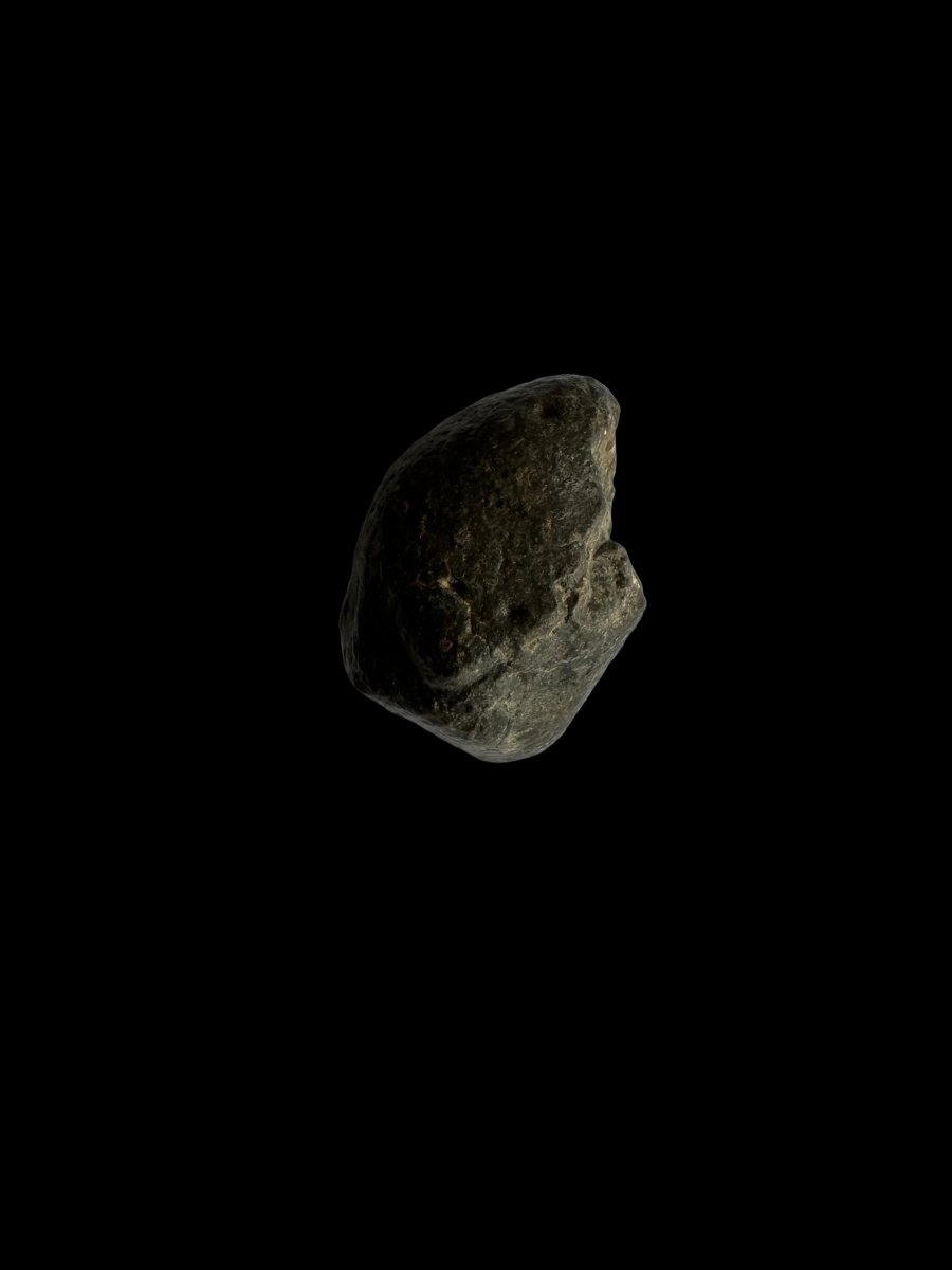 NWA 869 Meteorite fragment (0.80") from Sahara - FossilsAndMore