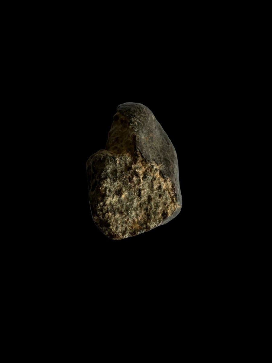 NWA 869 Meteorite fragment (0.80") from Sahara - FossilsAndMore