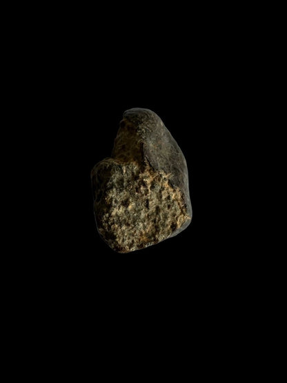 NWA 869 Meteorite fragment (0.80") from Sahara - FossilsAndMore