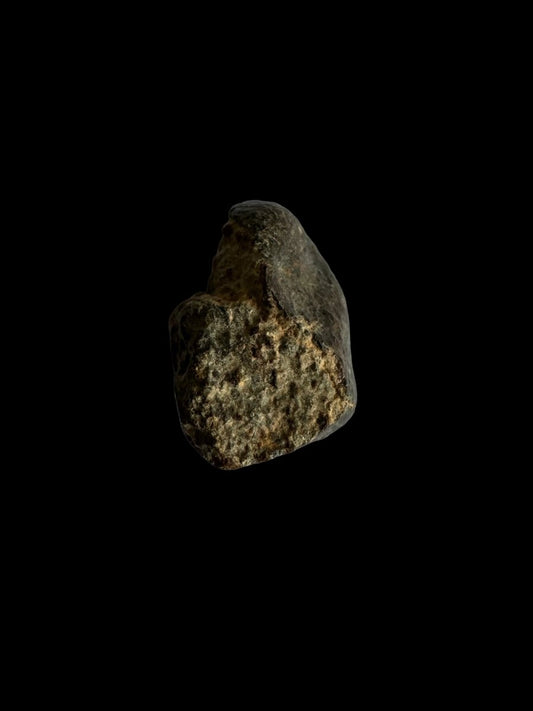 NWA 869 Meteorite fragment (0.80") from Sahara - FossilsAndMore