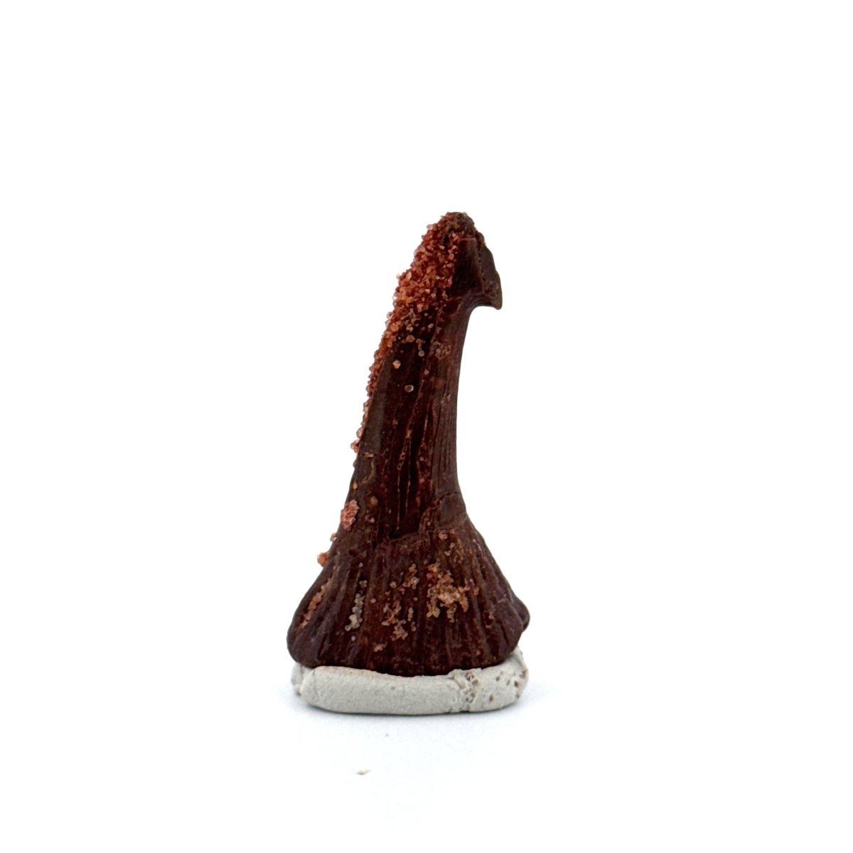 Onchopristus Rostral Spine/tooth, Sawfish Fossil (1.56") – Cretaceous, Morocco - FossilsAndMore