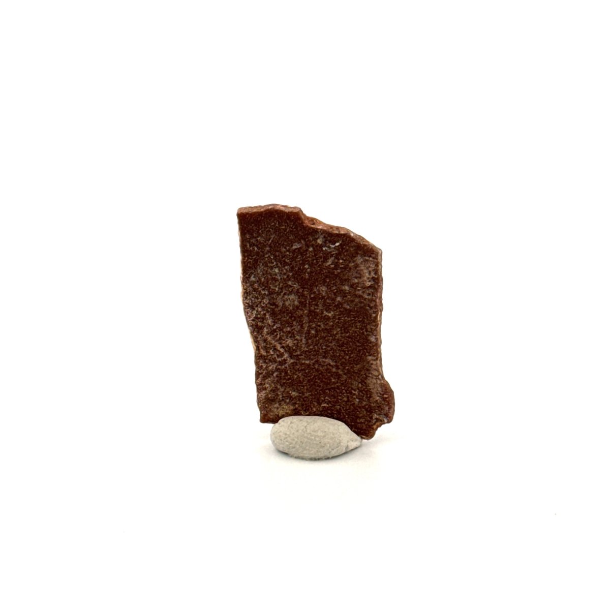 Oviraptor Species Eggshell fragment (1.07"), Dinosaur fossil from China - FossilsAndMore