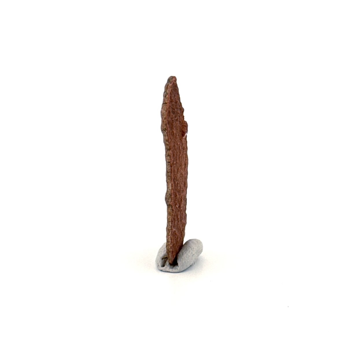 Oviraptor Species Eggshell fragment (1.34"), Dinosaur fossil from China - FossilsAndMore