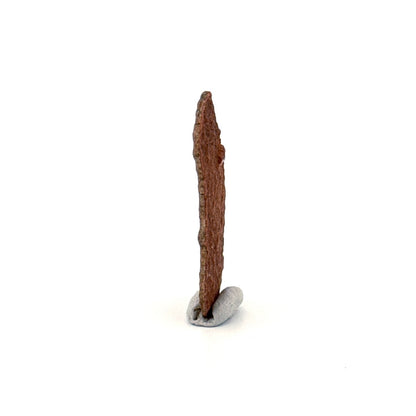 Oviraptor Species Eggshell fragment (1.34"), Dinosaur fossil from China - FossilsAndMore