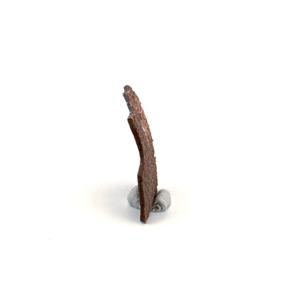 Oviraptor Species Eggshell fragment (1.43"), Dinosaur fossil from China - FossilsAndMore