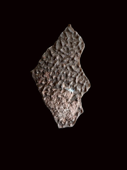 Oviraptor Species Eggshell fragment (1.43"), Dinosaur fossil from China - FossilsAndMore