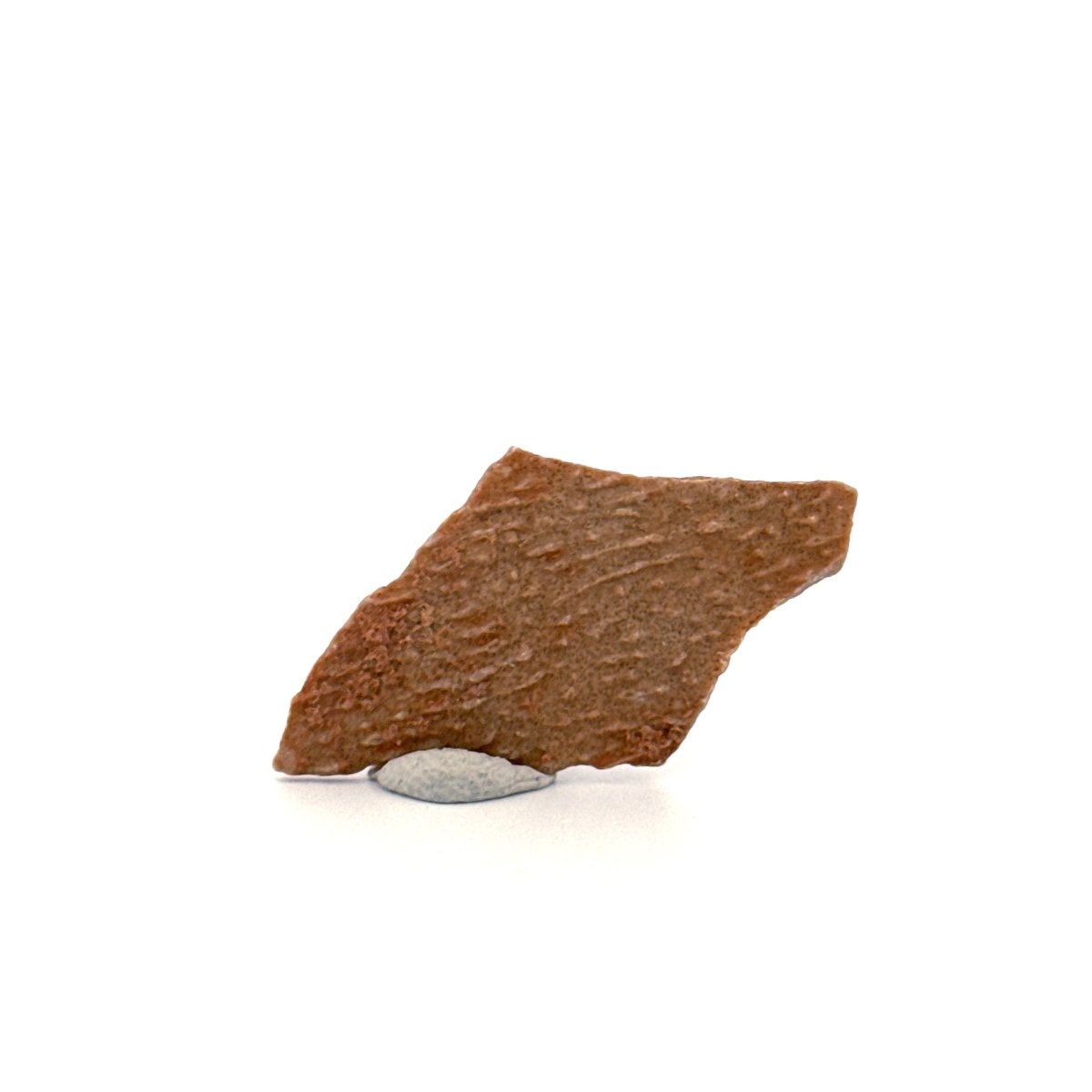 Oviraptor Species Eggshell fragment (1.44"), Dinosaur fossil from China - FossilsAndMore