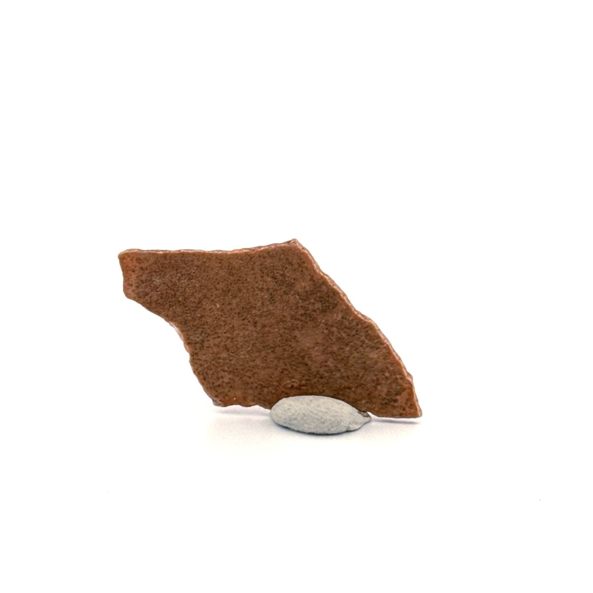 Oviraptor Species Eggshell fragment (1.44"), Dinosaur fossil from China - FossilsAndMore