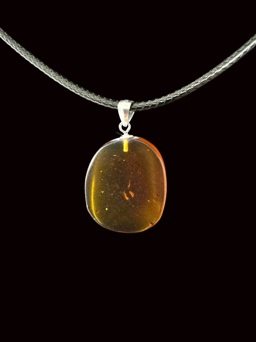 Pendant on necklace with small fly insect (Burmite amber) - FossilsAndMore
