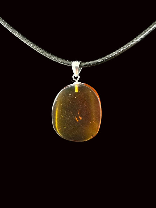 Pendant on necklace with small fly insect (Burmite amber) - FossilsAndMore