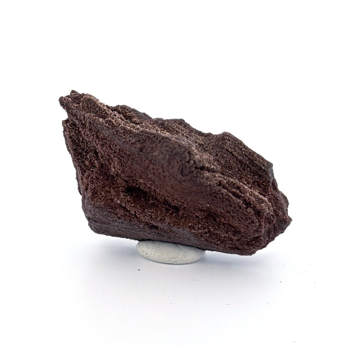 Permineralized Wood Covered In Druzy Quartz (2.82") from Eocene, Germany - FossilsAndMore