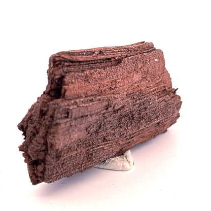 Permineralized Wood Covered In Druzy Quartz (3.29") from Eocene, Germany - FossilsAndMore