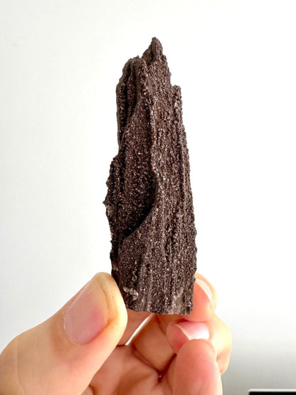 Permineralized Wood Covered In Druzy Quartz (3.30") from Eocene, Germany - FossilsAndMore