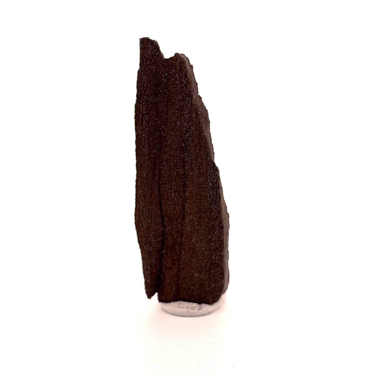 Permineralized Wood Covered In Druzy Quartz (3.39") from Eocene, Germany - FossilsAndMore