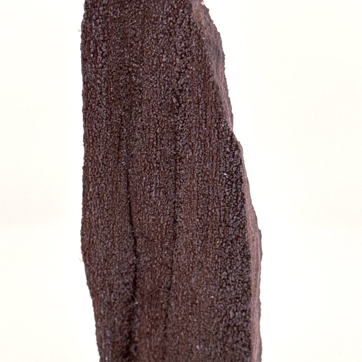 Permineralized Wood Covered In Druzy Quartz (3.39") from Eocene, Germany - FossilsAndMore