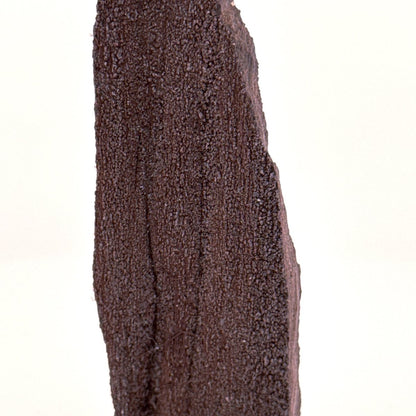 Permineralized Wood Covered In Druzy Quartz (3.39") from Eocene, Germany - FossilsAndMore