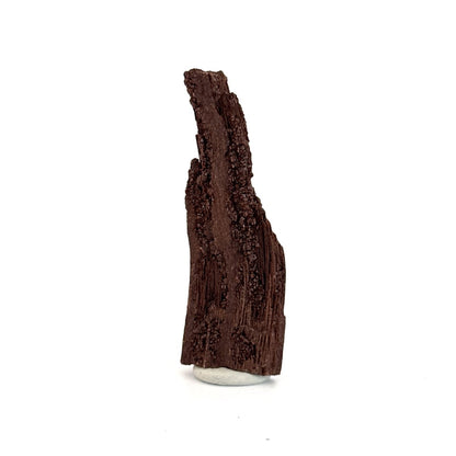 Permineralized Wood Covered In Druzy Quartz (3.42") from Eocene, Germany - FossilsAndMore