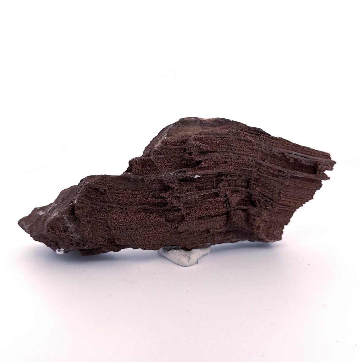 Permineralized Wood Covered In Druzy Quartz (4.43") from Eocene, Germany - FossilsAndMore