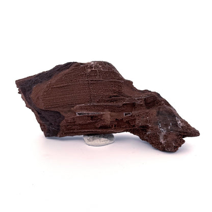 Permineralized Wood Covered In Druzy Quartz (4.43") from Eocene, Germany - FossilsAndMore