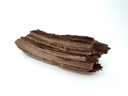 Permineralized Wood Covered In Druzy Quartz from Germany (246 Grams) - FossilsAndMore