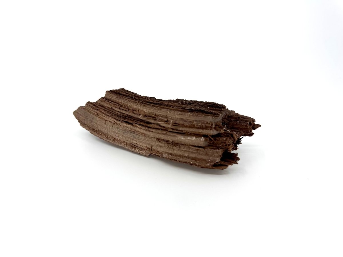 Permineralized Wood Covered In Druzy Quartz from Germany (246 Grams) - FossilsAndMore
