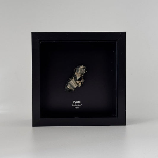 Peruvian Pyrite cluster in Deep Box Frame - FossilsAndMore