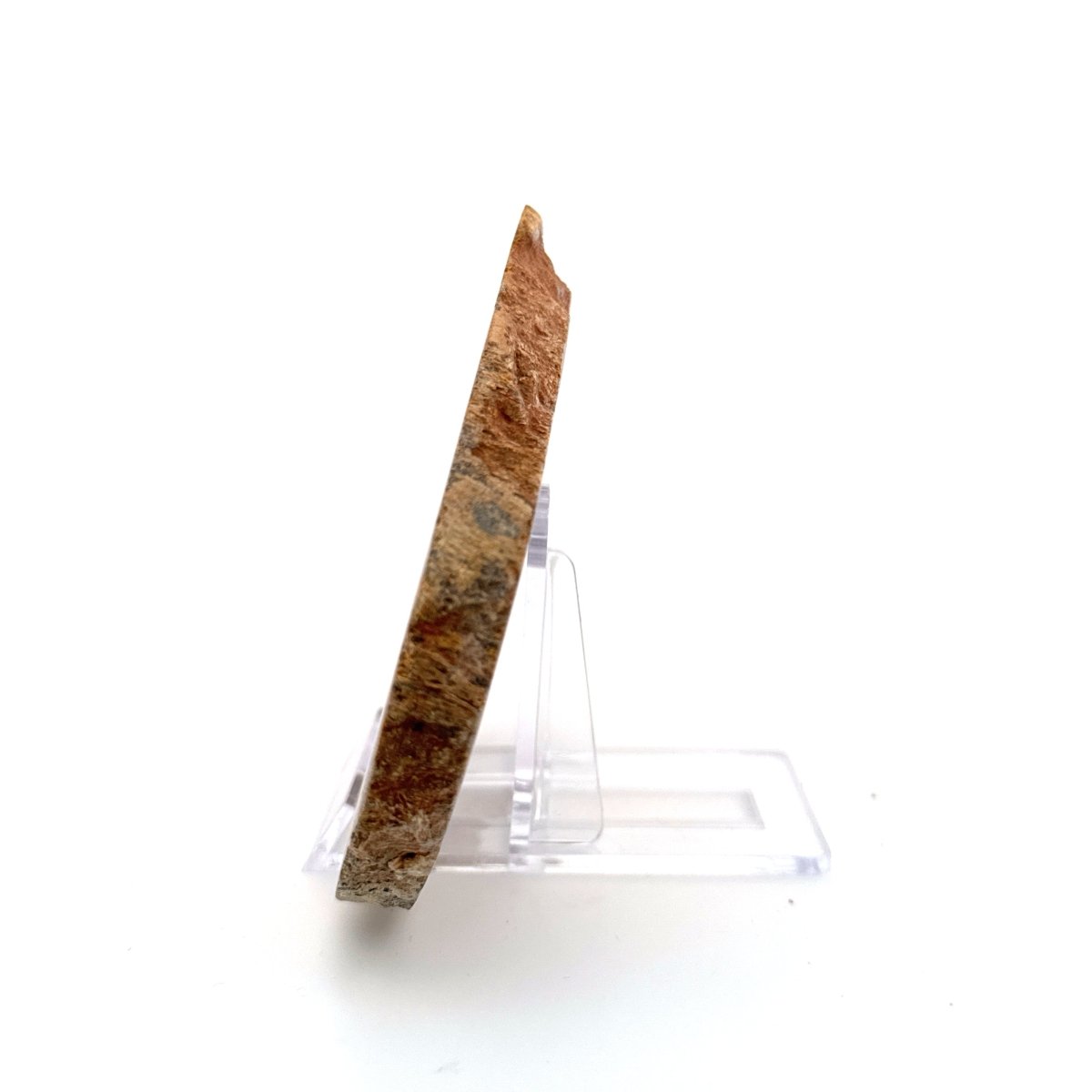 Polished Jurassic Sauropod Dinosaur Bone | 143 Grams - FossilsAndMore