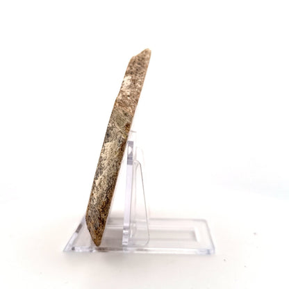 Polished Jurassic Sauropod Dinosaur Bone | 149 Grams - FossilsAndMore