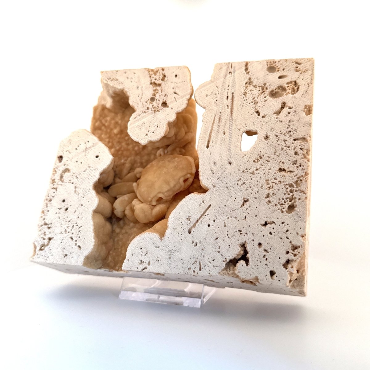 Potamon Fossil Crab on Travertine Matrix (2.10") – Pleistocene period, Turkey - FossilsAndMore