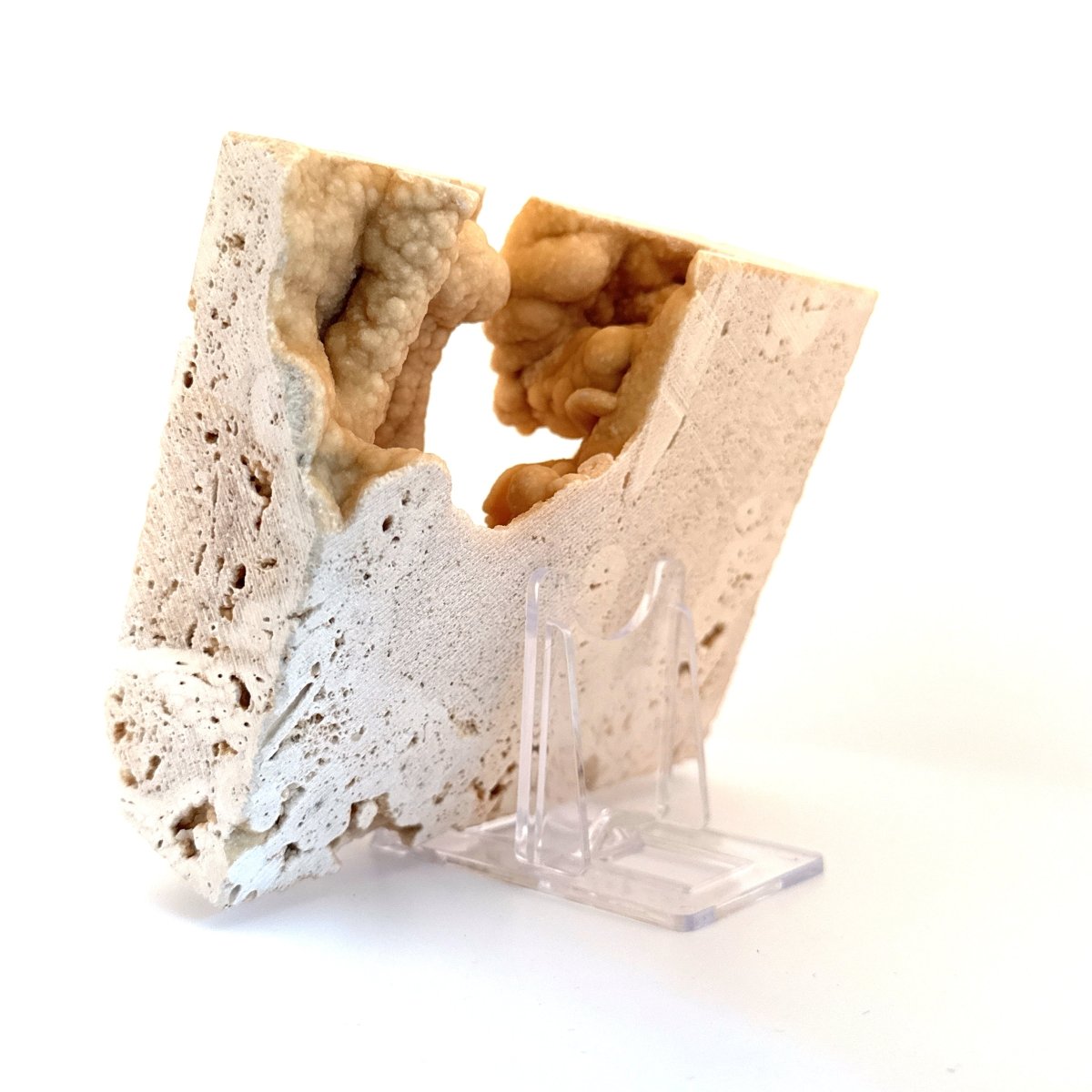 Potamon Fossil Crab on Travertine Matrix (2.10") – Pleistocene period, Turkey - FossilsAndMore