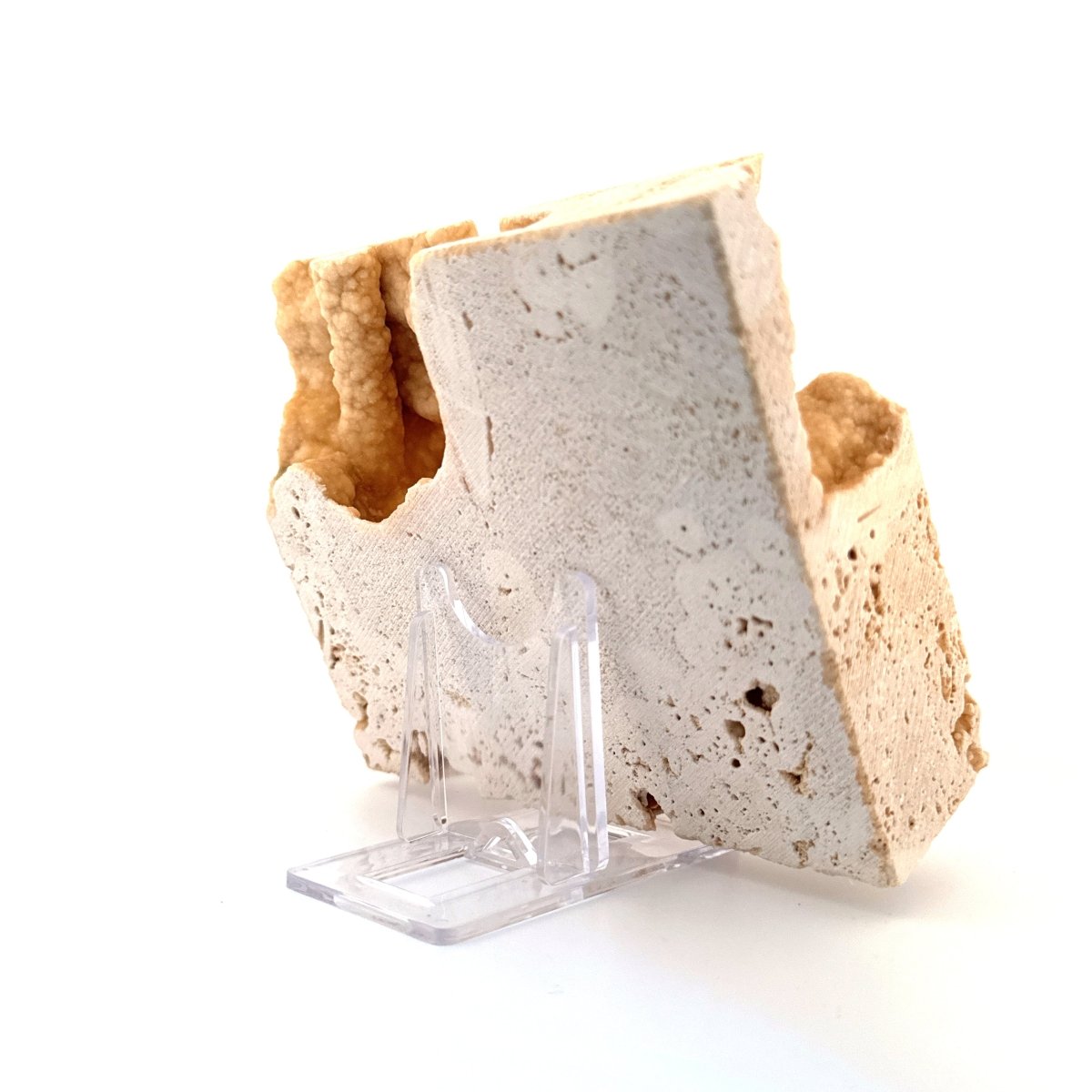 Potamon Fossil Crab on Travertine Matrix (2.10") – Pleistocene period, Turkey - FossilsAndMore