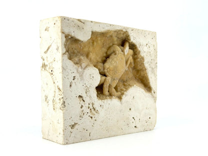 Potamon Fossil Crab on Travertine Matrix (2.16") – Pleistocene period, Turkey - FossilsAndMore