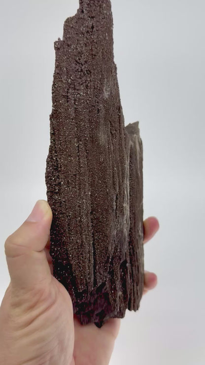 Groot stuk gepermineraliseerd hout bedekt met druzykwarts uit het Eoceen, Duitsland (611 Gram)