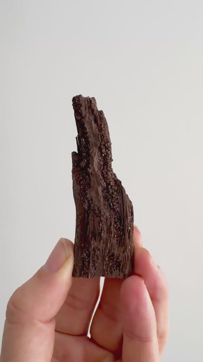 Gepermineraliseerd hout bedekt met druzykwarts (3,42 inch) uit het Eoceen, Duitsland