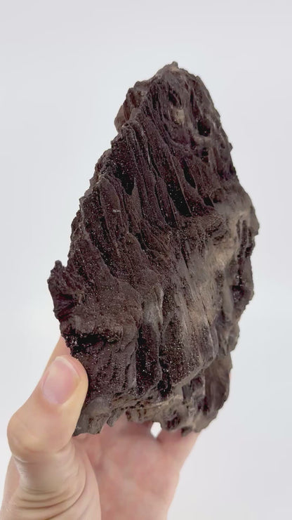 Large Permineralized Wood Covered In Druzy Quartz from Germany (919 Grams)