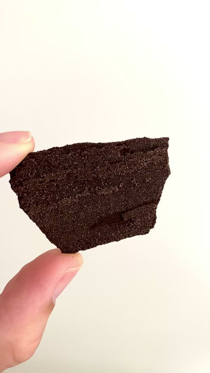 Gepermineraliseerd hout bedekt met sprankelend kwarts (2,08 inch) - Eoceen, Duitsland