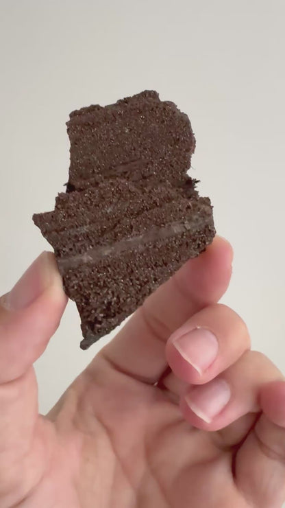 gepermineraliseerd hout bedekt met sprankelend kwarts (2,83 inch) - Eoceen, Duitsland