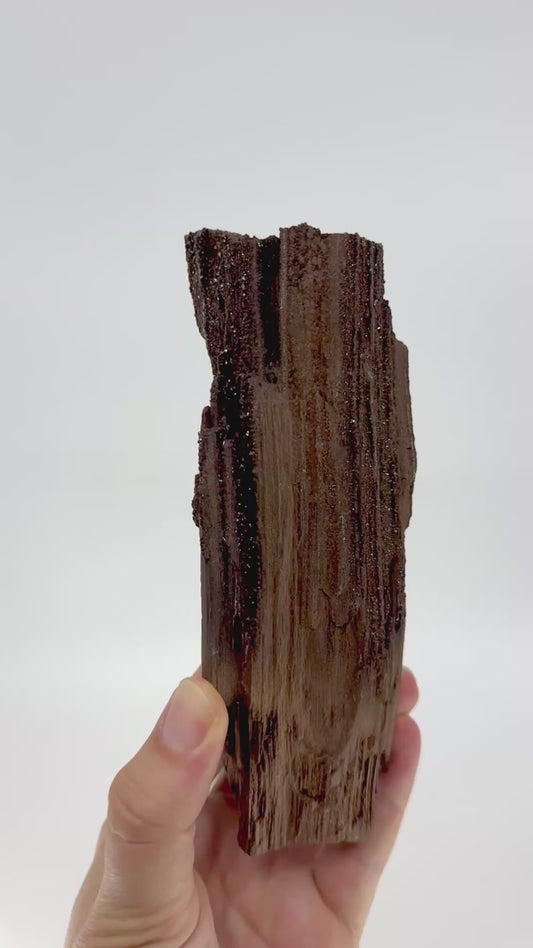 Groot stuk gepermineraliseerd hout bedekt met druzykwarts uit het Eoceen, Duitsland (669 Gram)