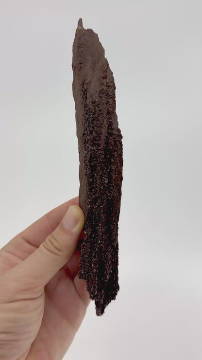 Groot stuk gepermineraliseerd hout bedekt met druzykwarts uit het Eoceen, Duitsland (210 Gram)