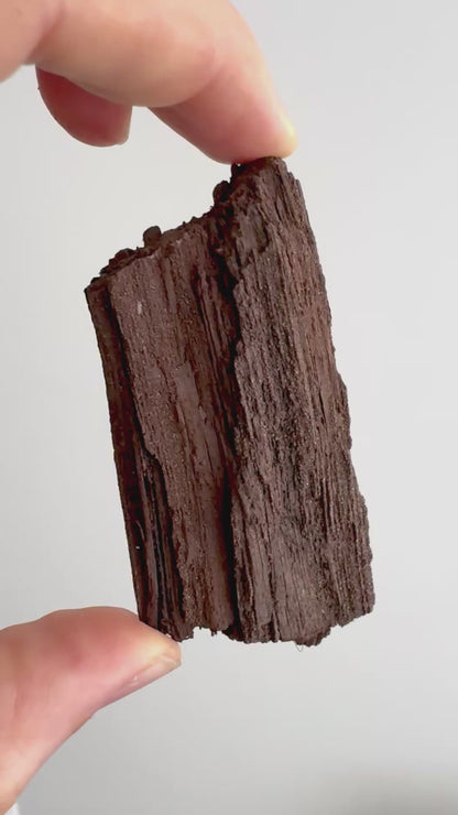 Gepermineraliseerd hout bedekt met druzykwarts (3,29 inch) uit het Eoceen, Duitsland