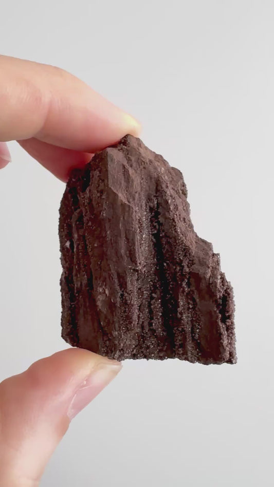 Gepermineraliseerd hout bedekt met druzykwarts (2,72 inch) uit het Eoceen, Duitsland