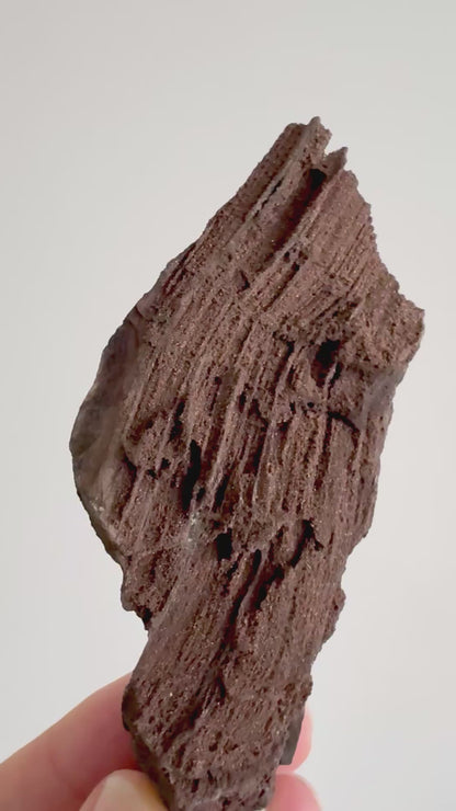 Gepermineraliseerd hout bedekt met druzykwarts (4,43 inch) uit het Eoceen, Duitsland