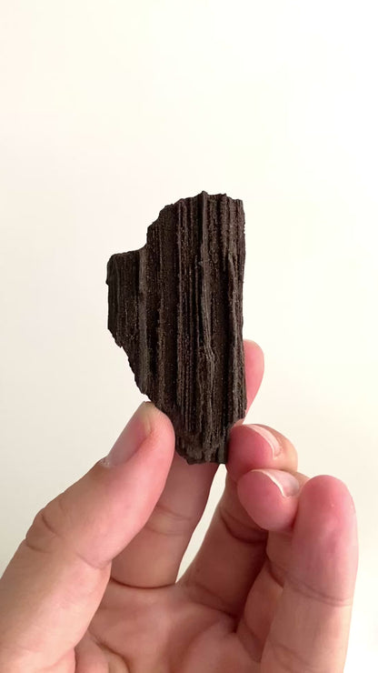 gepermineraliseerd hout bedekt met sprankelend kwarts (2,53 inch) - Eoceen, Duitsland