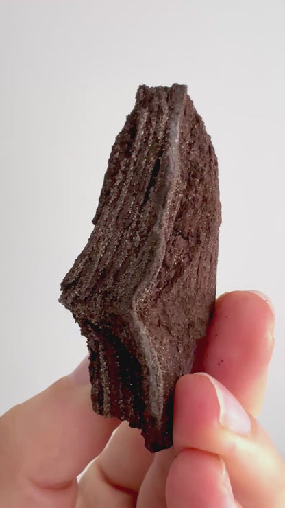 Gepermineraliseerd hout bedekt met druzykwarts (2,82 inch) uit het Eoceen, Duitsland